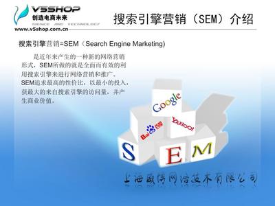 廣告策劃 搜索引擎營銷（SEM）推廣方案